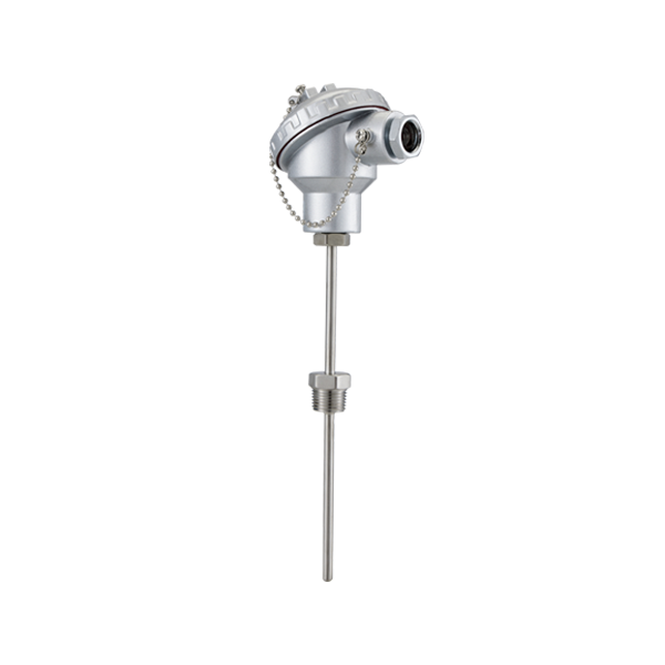 Integrated Temperature Transmitter